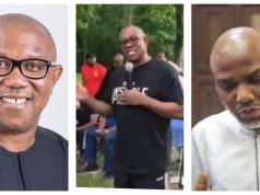 No reason to detain Nnamdi Kanu- Peter Obi
