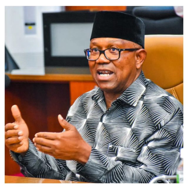 I won the 2023 presidential election - Peter Obi