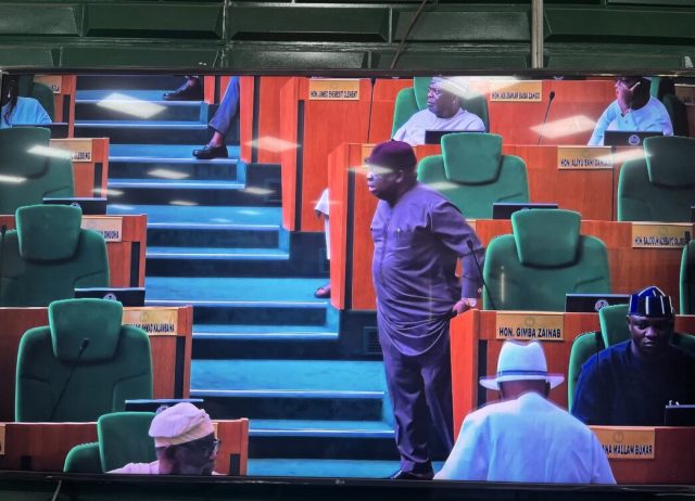 Rowdy session in Reps over minority leadership