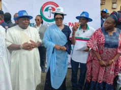 Iyabo Obasanjo rejoins PDP Iyabo Obasanjo rejoins PDP