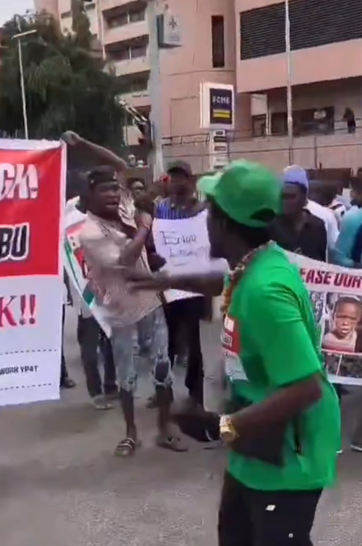 Pro-Tinubu supporters protest in Abuja, blames Makinde