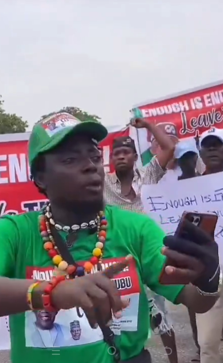 Pro-Tinubu supporters protest in Abuja, blames Makinde