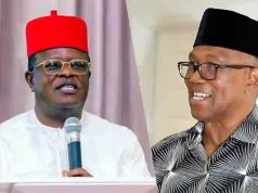 Peter Obi will be alive to contest and lose – Dave Umahi Obi will be alive to contest and lose - Dave Umahi