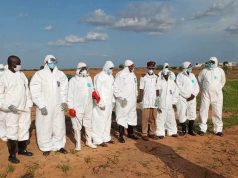 FIVE Yobe residents hospitalised after rabies-infected dog attack FIVE Yobe residents hospitalised after rabies-infected dog attack