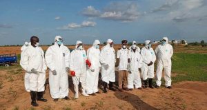 FIVE Yobe residents hospitalised after rabies-infected dog attack FIVE Yobe residents hospitalised after rabies-infected dog attack