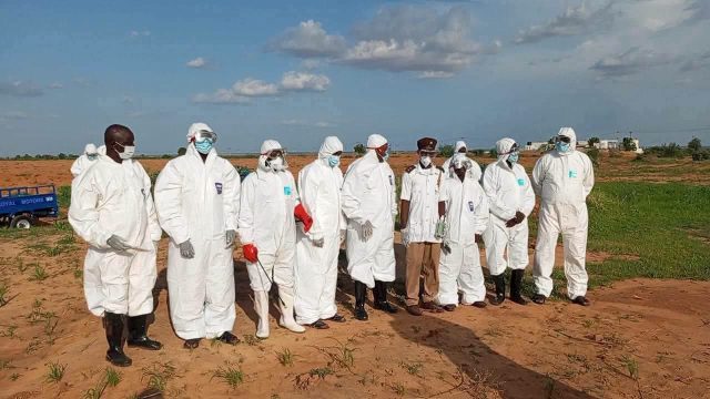 FIVE Yobe residents hospitalised after rabies-infected dog attack FIVE Yobe residents hospitalised after rabies-infected dog attack
