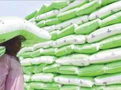 Farmers allege disappearance of 8,000 bags of Tinubu fertilizer Farmers allege disappearance of 8,000 bags of Tinubu fertilizer