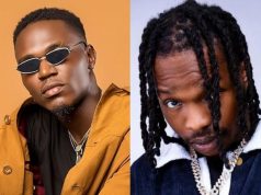 I can work with Naira Marley if he won’t smoke in my studio – Spyro I can work with Naira Marley if he won't smoke in my studio - Spyro
