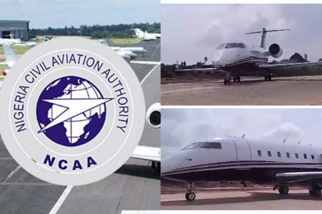 NCAA suspends pilot, bars aircraft involved in Delta incident