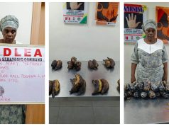 67-year-old grandmother arrested at airport with 13kg cocaine hidden in banana