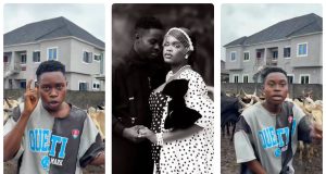 Peller shows off 12 cows ahead of wedding