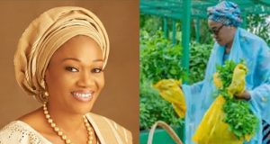 Photos: Remi Tinubu harvests vegetables at Aso Villa Photos: Remi Tinubu harvests vegetables at Aso Villa