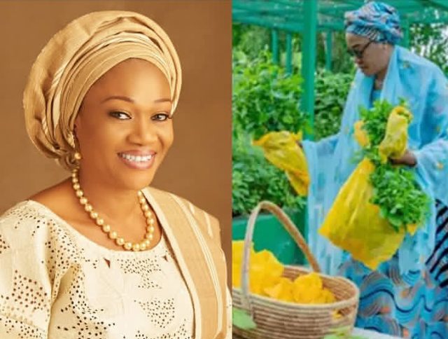 Photos: Remi Tinubu harvests vegetables at Aso Villa