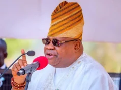 Adeleke’s sister, Davido’s father running state – Sowore Adeleke’s sister, Davido’s father running state – Sowore