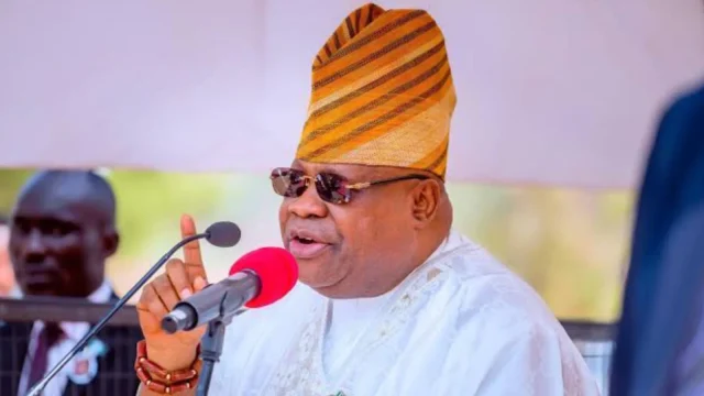 Adeleke’s sister, Davido’s father running state – Sowore Adeleke’s sister, Davido’s father running state – Sowore