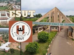 ESUT lecturers declare two-week strike ESUT lecturers declare two-week strike