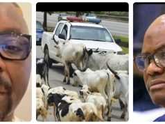 ‘Wike fear Abuja cows more than human beings’ – Isaac Fayose