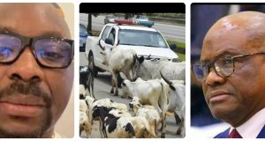 Isaac Fayose mocks Wike over Abuja roaming cows
