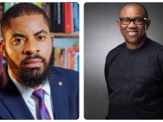 I’m bigger than Peter Obi – Deji Adeyanju
