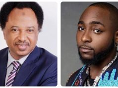 Trump is too busy to interfere in our elections – Shehu Sani To Davido