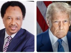 Trump is too busy to interfere in our elections – Shehu Sani