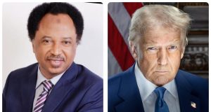 Trump is too busy to interfere in our elections – Shehu Sani