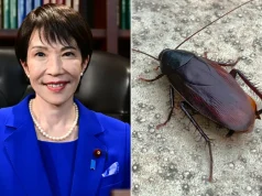 Japanese PM says she felt ‘lonely, or maybe sad’ when staff got rid of the cockroach in her home Japanese PM says she felt ‘lonely, or maybe sad’ when staff got rid of the cockroach in her home