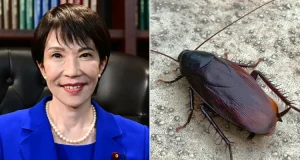 Japanese PM says she felt ‘lonely, or maybe sad’ when staff got rid of the cockroach in her home Japanese PM says she felt ‘lonely, or maybe sad’ when staff got rid of the cockroach in her home