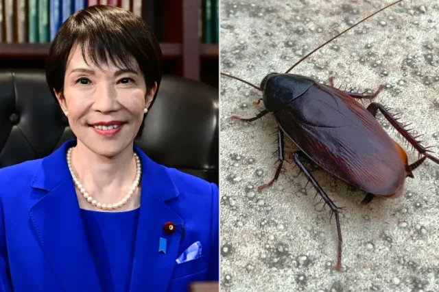 Japanese PM says she felt ‘lonely, or maybe sad’ when staff got rid of the cockroach in her home