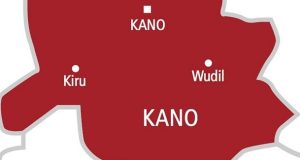 Kano investigates reported de.aths of 50 children KANO