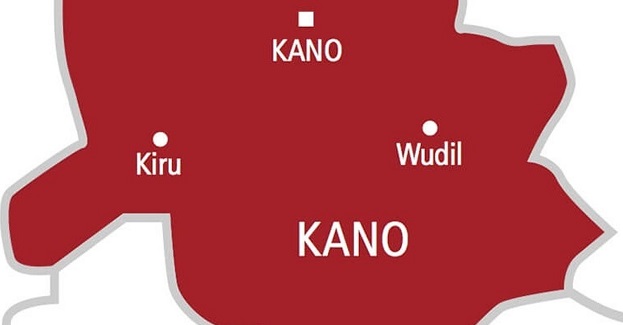 Kano investigates reported de.aths of 50 children KANO