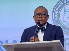 EFCC has no powers to freeze Osun funds – NBA EFCC has no powers to freeze Osun funds - NBA