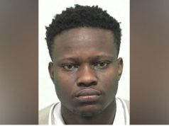 Nigerian who arrived in UK a year ago is jailed for paedophile activities Anderson Ishiekwene