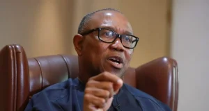 Professors now aid illiterates to rig elections in Nigeria – Peter Obi Professors now aid illiterates to rig elections in Nigeria – Peter Obi