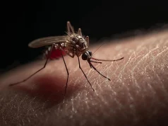 Russian chess official d!es after alleged malaria mosquito bite in Nigeria