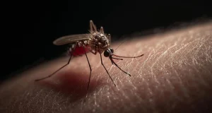 Russian chess official d!es after alleged malaria mosquito bite in Nigeria