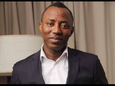 Sowore slams NDLEA over cannabis farm destruction