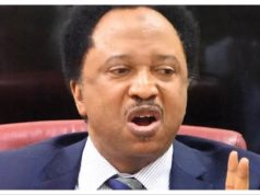 Adeleke, Otti, Soludo backing Tinubu for political survival – Sani Sani