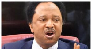 Adeleke, Otti, Soludo backing Tinubu for political survival – Sani Sani