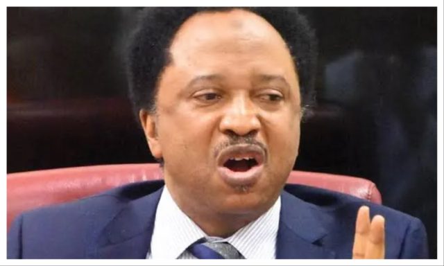 Adeleke, Otti, Soludo backing Tinubu for political survival – Sani Sani