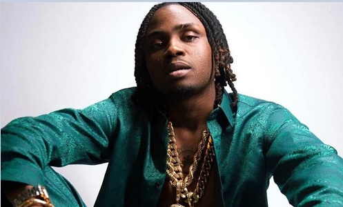 Davido is not making music for money – Logos Olori