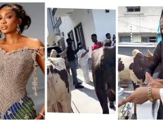 May Yul-Edochie surprised with two cows for her birthday