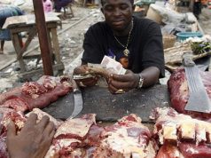 Miyetti Allah raises alarm over rising meat imports Miyetti Allah raises alarm over rising meat imports