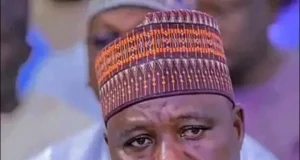 Commissioner who threatened to flog opposition apologises Borno Commissioner