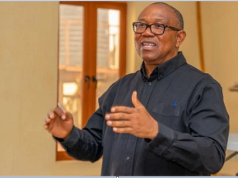 I’m ready to d!e protecting my vote in 2027 – Peter Obi Peter Obi