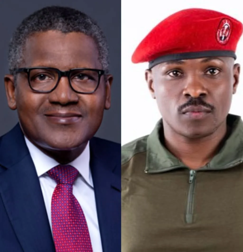 ‘You’ll return to Nigeria’ – Kenyan aspirant warns Dangote over refinery