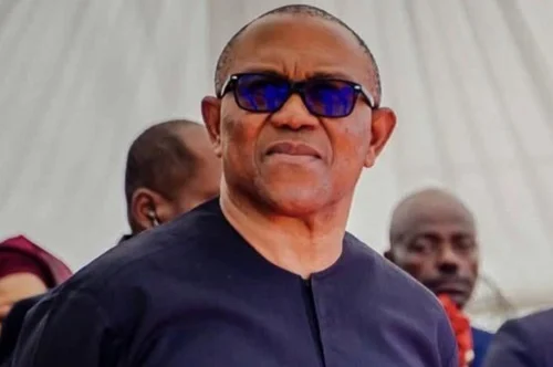 You should stop sending money home – Peter Obi tells Nigerians in UK You should stop sending money home - Peter Obi tells Nigerians in UK