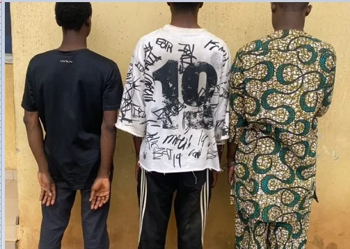 3 arrested in Oyo for homos.exuality OYO
